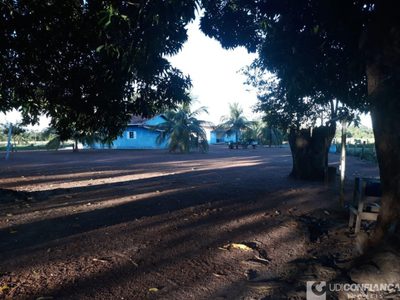 Fazenda - Foto 4
