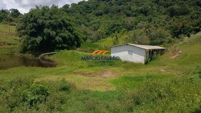 Fazenda, 73 hectares - Foto 4