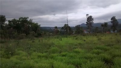 Loteamento e Condomínio - Foto 4