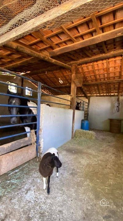 Sítio, 3 quartos, 6 hectares - Foto 3