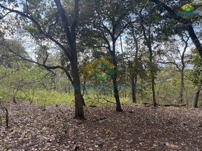 Terreno, 7000 m² - Foto 4