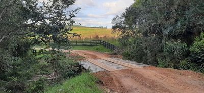 Fazenda, 109 hectares - Foto 2