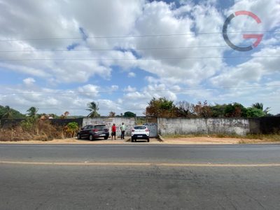 Terreno, 10000 m² - Foto 3