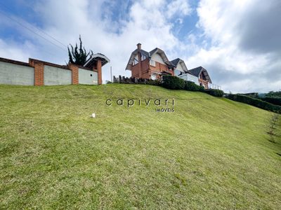 Casa, 5 quartos, 375 m² - Foto 5
