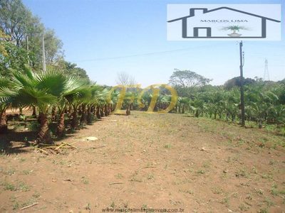 Terreno, 5 hectares - Foto 4