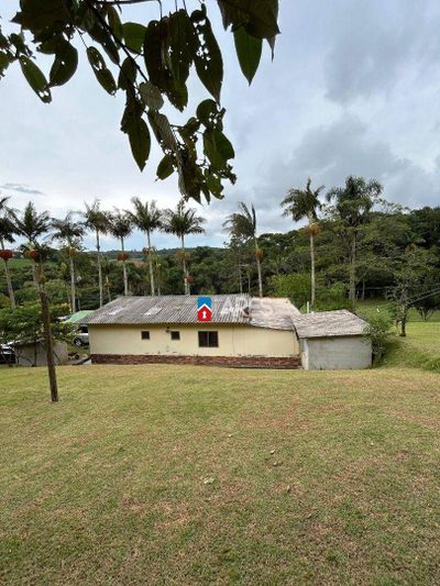 Chácara, 5 quartos, 3 hectares - Foto 4