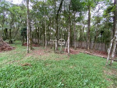 Terreno, 338 m² - Foto 3