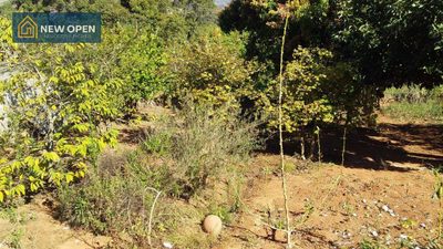 Casa, 2 quartos, 166 m² - Foto 5