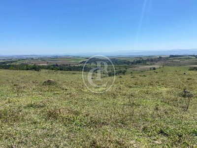 Fazenda, 70 hectares - Foto 3