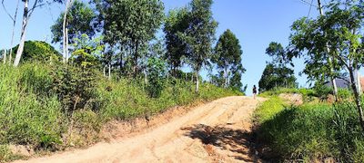 Terreno, 1423 m² - Foto 2