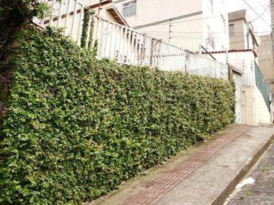 Terreno, 600 m² - Foto 3