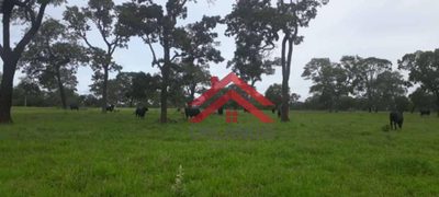 Fazenda, 484 hectares - Foto 1