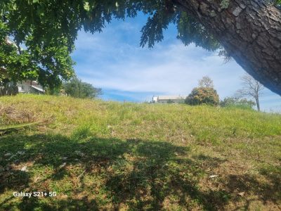 Terreno, 1000 m² - Foto 4