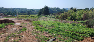 Terreno, 4800 m² - Foto 4