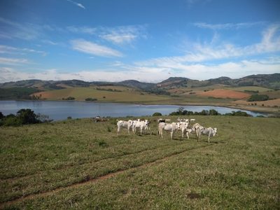 Chácara, 1 quarto, 109 hectares - Foto 2