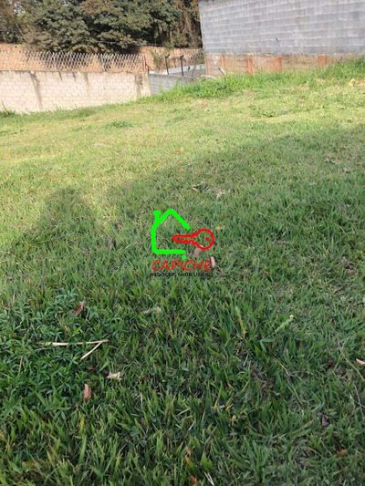 Terreno, 256 m² - Foto 4