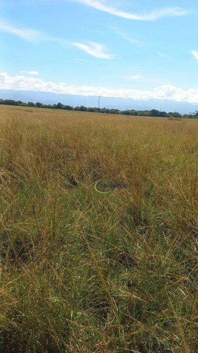 Terreno, 50 hectares - Foto 3