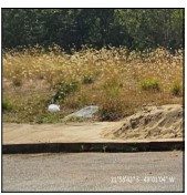 Terreno - Foto 1