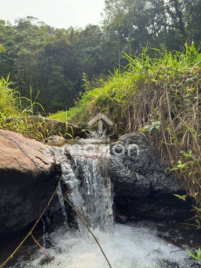 Sítio, 2 hectares - Foto 4