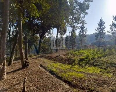 Terreno, 5850 m² - Foto 1