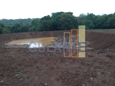 Sítio, 9 hectares - Foto 4