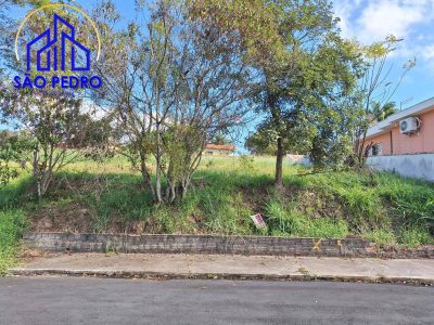 Terreno, 53 hectares - Foto 4
