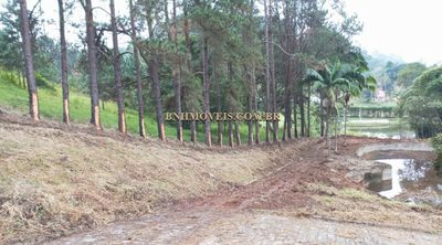 Terreno, 2 hectares - Foto 2