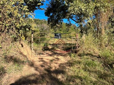 Sítio, 3 quartos, 5 hectares - Foto 1