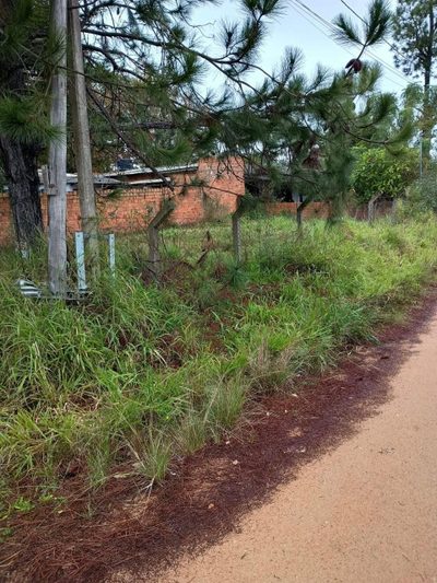 Terreno, 206 m² - Foto 2