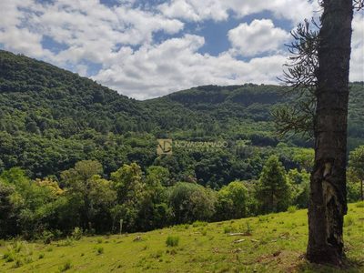 Terreno, 3 hectares - Foto 4