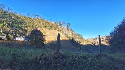 Fazenda, 337 hectares - Foto 5