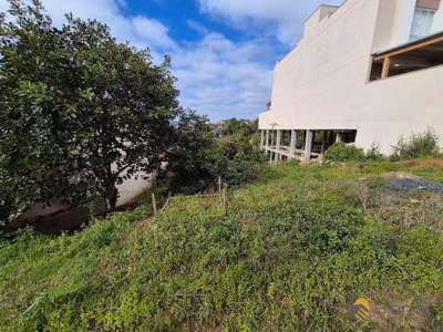 Terreno, 442 m² - Foto 5