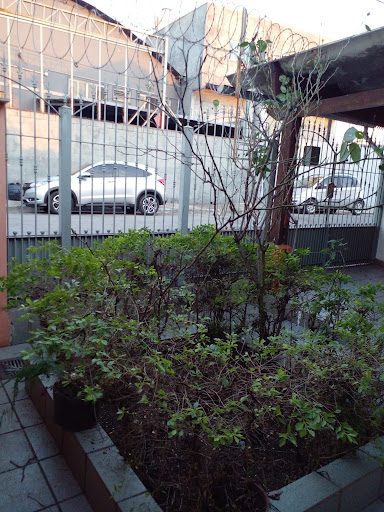 Casa, 2 quartos, 182 m² - Foto 5