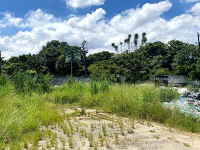 Loteamento e Condomínio, 8500 m² - Foto 3