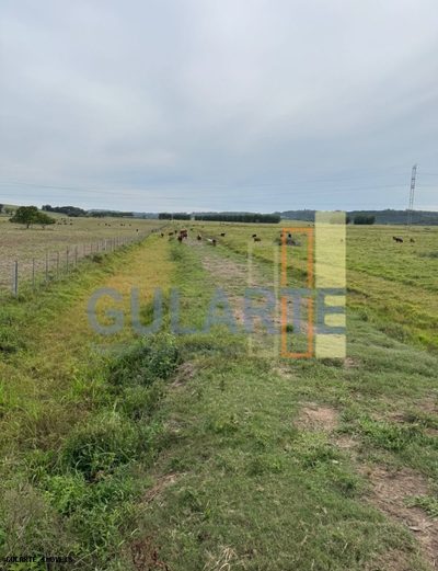 Chácara, 398 hectares - Foto 3