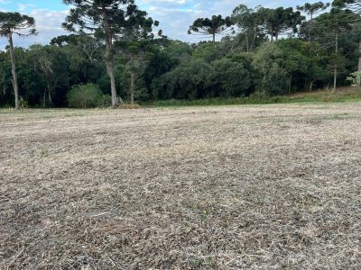 Terreno, 2 hectares - Foto 3