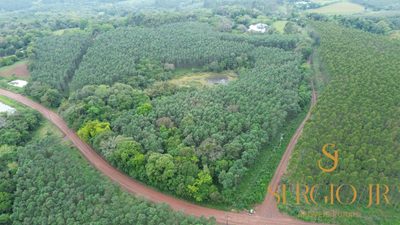 Chácara, 6 quartos, 16 hectares - Foto 1