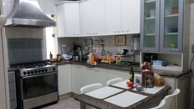Casa, 4 quartos, 250 m² - Foto 4