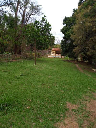 Chácara, 1 quarto, 3836 m² - Foto 4