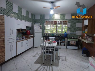 Sítio, 5 quartos, 5000 m² - Foto 4