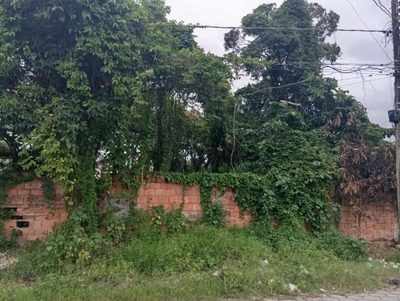 Terreno, 250 m² - Foto 2