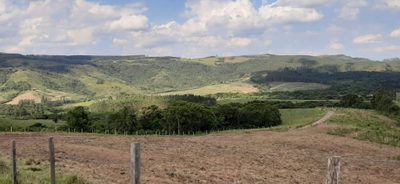 Fazenda, 109 hectares - Foto 1