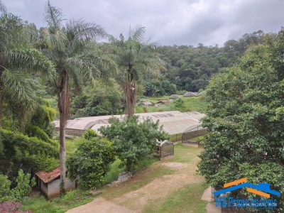 Terreno, 5 hectares - Foto 2