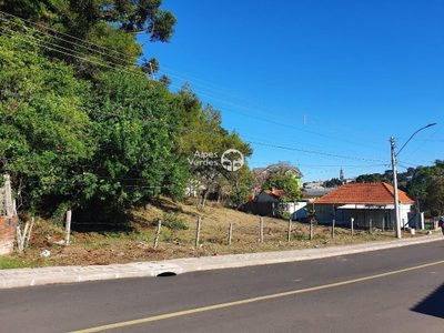 Terreno, 1546 m² - Foto 3
