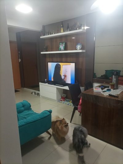 Apartamento, 2 quartos, 46 m² - Foto 1