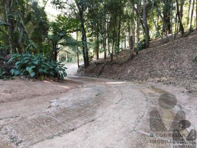 Sítio, 3 quartos, 17800 m² - Foto 3