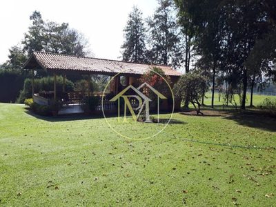 Fazenda, 104 hectares - Foto 3