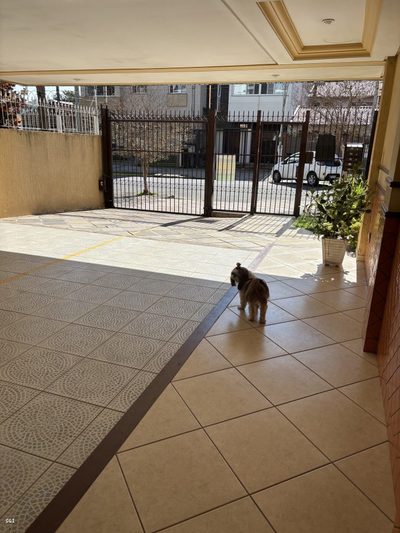 Apartamento, 3 quartos, 122 m² - Foto 4