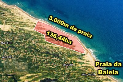 Terreno, 5000 m² - Foto 1