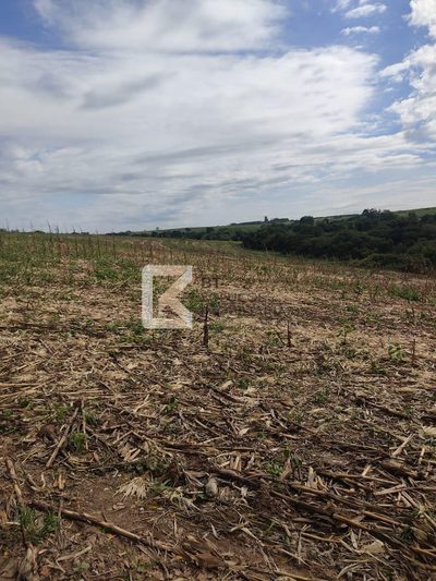 Sítio, 2 hectares - Foto 4